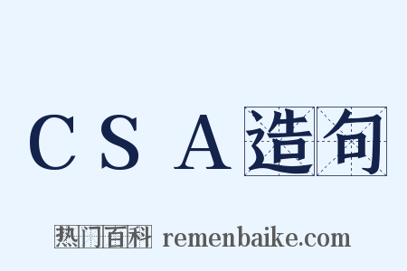 CSA造句是什么意思的图片